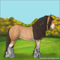 Horse Color:Buckskin Roan Sabino Rabicano and Buckskin Roan Sabino Rabicano