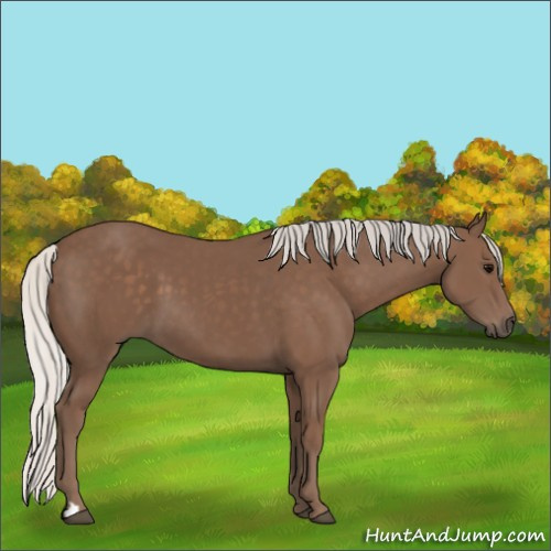 Horse Color:Silver Black 