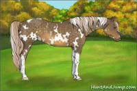 Horse Color:White Spotted Chocolate Palomino Mushroom Tobiano 