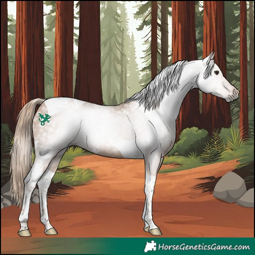 Horse Color:Gray White Spotted Chestnut Tobiano