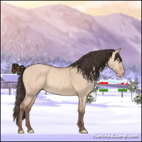 Horse Color:Amber Champagne Dun 