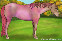 Horse Color:Liver Chestnut Pearl 