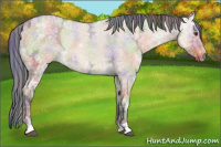 Horse Color:Painted Nacre Bay Ice Dun