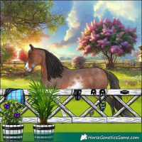 Horse Color:White Spotted Bay Roan Frame 