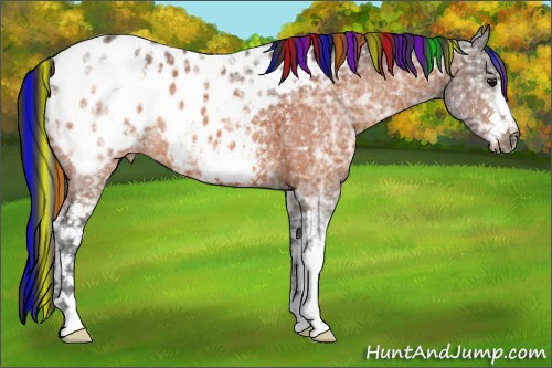 Horse Color:Painted White Spotted Bay Ice Appaloosa 