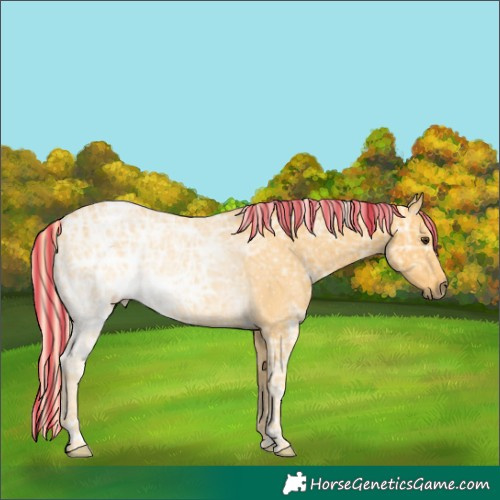 Horse Color:Painted Palomino Ice