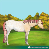 Horse Color:Painted Palomino Ice