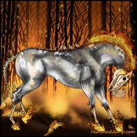 Horse Color:White Spotted Silver Blue Onyx Chinchilla Rabicano 