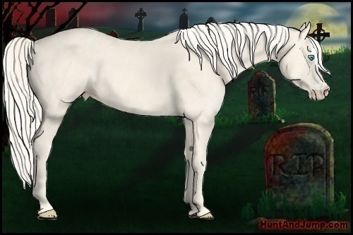 Horse Color:Cremello Splash  Brindle