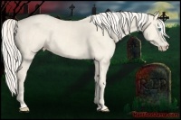 Horse Color:Cremello Splash Brindle