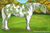 Horse Color:Watercolor White Spotted Silver Black