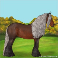 Horse Color:Silver Brown Rabicano 