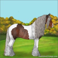 Horse Color:Silver Brown Tobiano Varnish Rabicano 