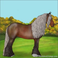 Horse Color:Silver Brown 