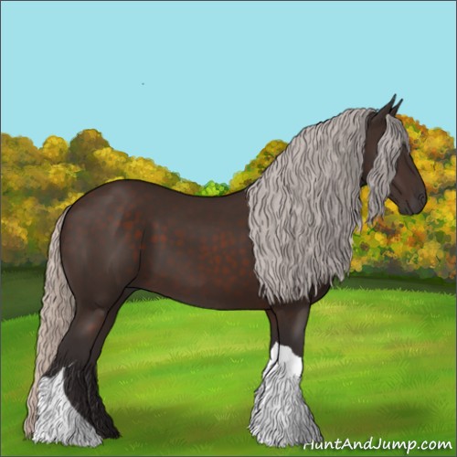 Horse Color:Silver Brown Tobiano 