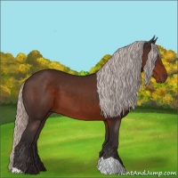 Horse Color:Silver Brown 