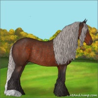 Horse Color:Silver Brown Rabicano 