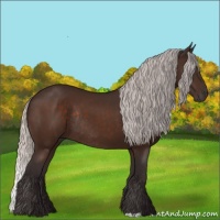 Horse Color:Silver Brown Rabicano 