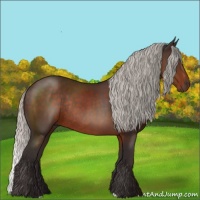 Horse Color:Silver Brown Rabicano 