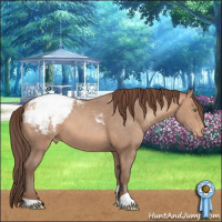 Horse Color:Sable Champagne Snowcap 