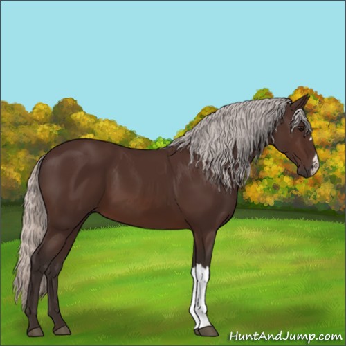 Horse Color:Silver Brown 