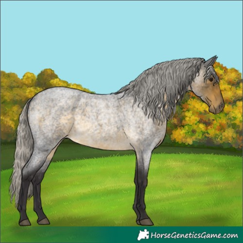 Horse Color:Silver Buckskin Roan 