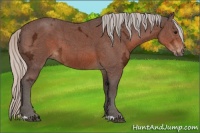 Horse Color:Silver Brown Ice 
