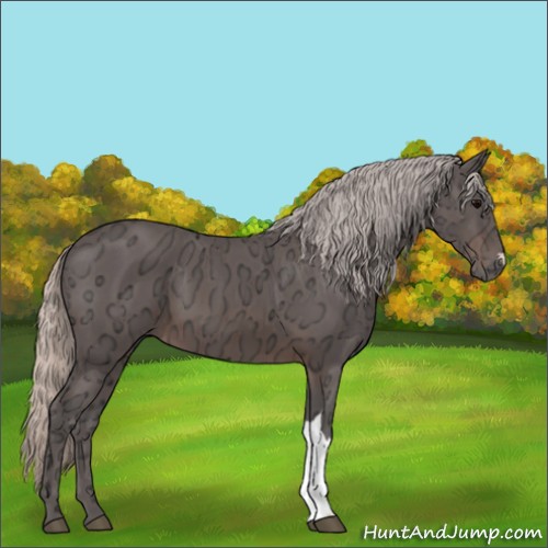 Horse Color:Silver Brown Ice 