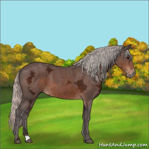 Horse Color:Silver Brown Ice