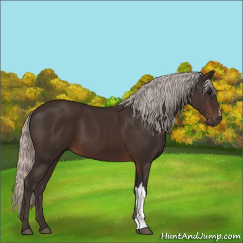 Horse Color:Silver Brown 
