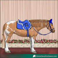 Horse Color:White Spotted Chestnut Tobiano