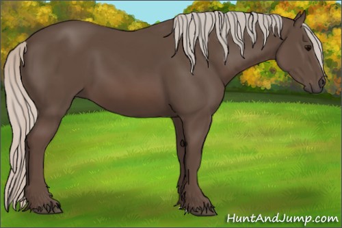 Horse Color:Silver Black 