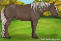 Horse Color:Silver Black 