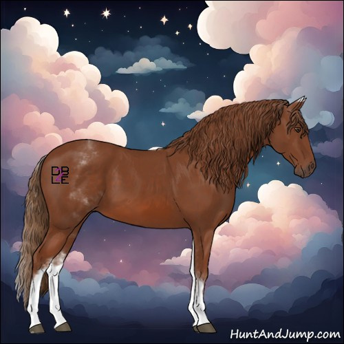 Horse Color:White Spotted Chestnut 