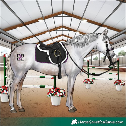 Horse Color:Gray Palomino