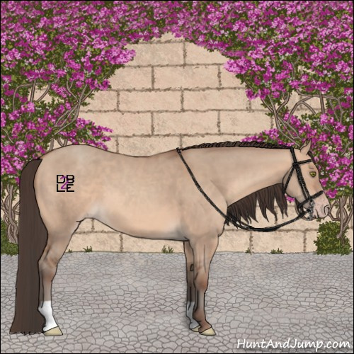 Horse Color:Amber Champagne Dun