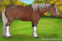 Horse Color:Silver Brown 