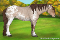 Horse Color:White Spotted Liver Red Dun Roan Blanket