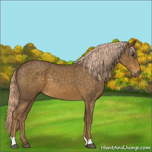 Horse Color:Chocolate Palomino Roan 