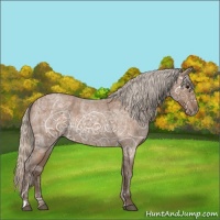 Horse Color:Silver Buckskin Ice Roan Rabicano