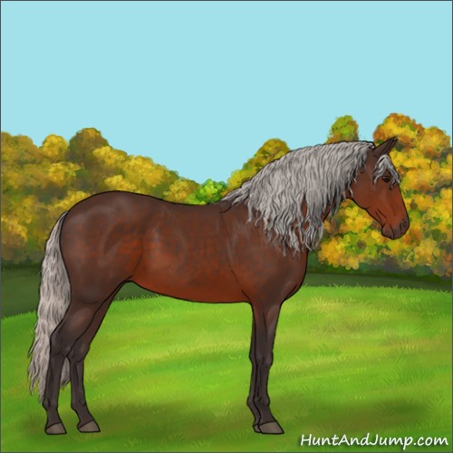 Horse Color:Silver Brown 