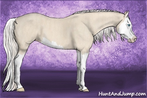 Horse Color:Cremello Splash Brindle