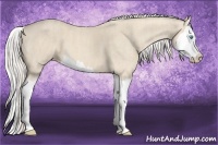 Horse Color:Cremello Splash Brindle