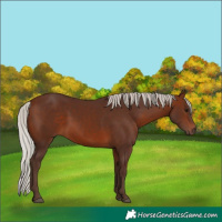 Horse Color:Silver Brown 