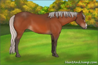 Horse Color:Silver Brown 