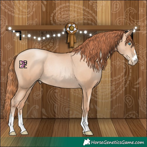 Horse Color:Sable Champagne Pearl Rabicano 
