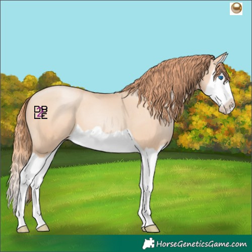 Horse Color:Sable Champagne Pearl Splash
