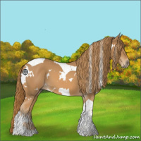 Horse Color:White Spotted Chestnut Tobiano 