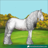 Horse Color:Gray White Spotted Bay Tobiano 