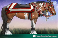 Horse Color:White Spotted Bay Tobiano